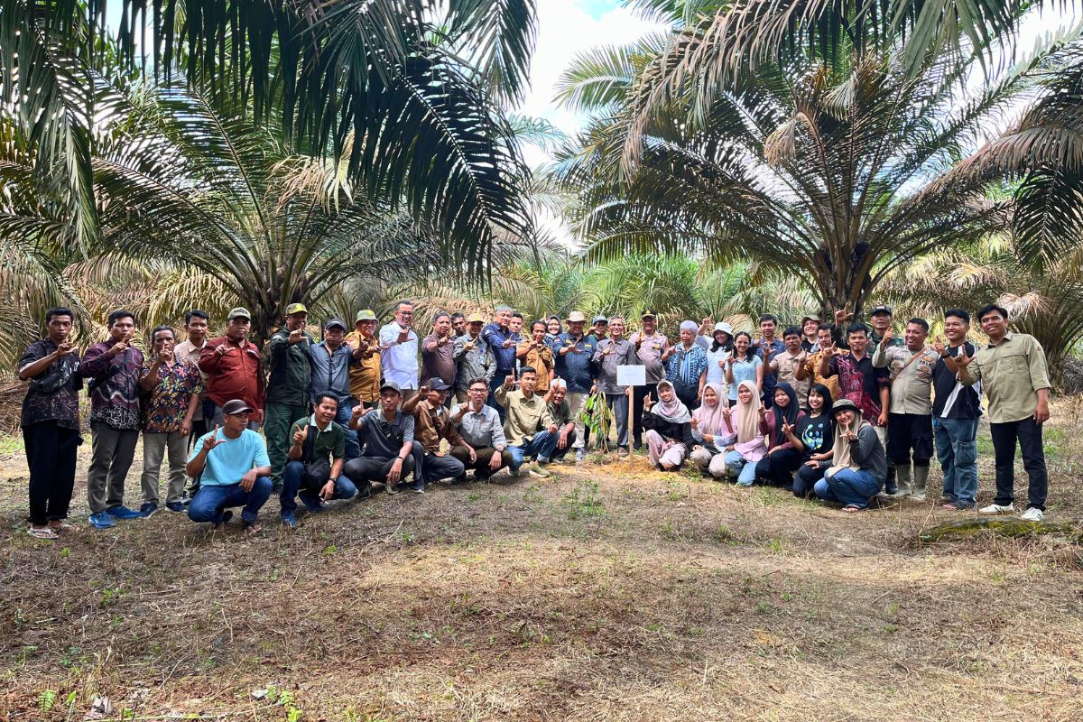 Memulihkan Hutan, Menopang Hidup
