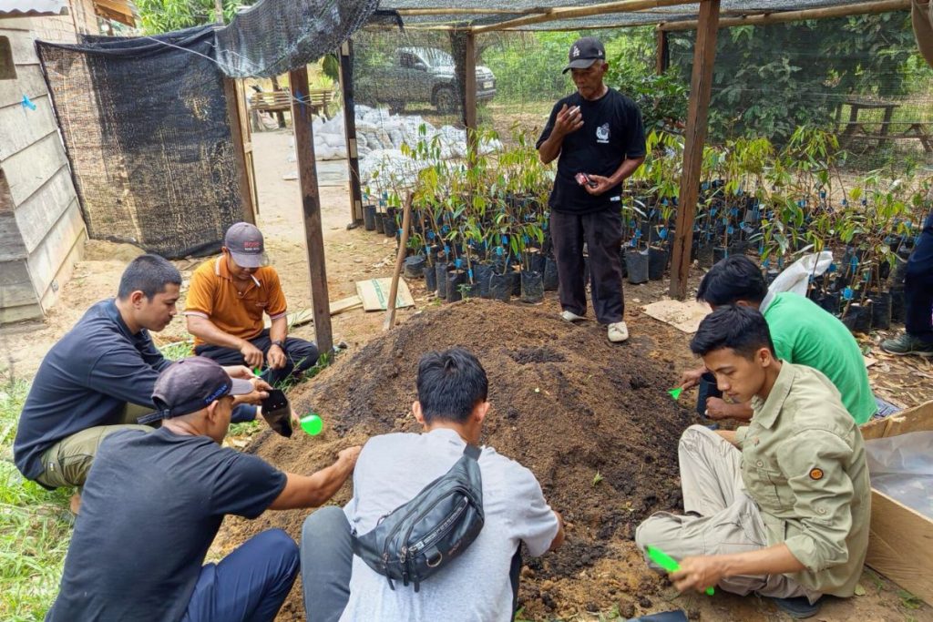 Suasana Sekolah Jangka Benah di Desa Suo-Suo, tempat para petani belajar langsung teknik pengomposan dan penyemaian bibit. Foto : Dokumentasi Pundi Sumatra