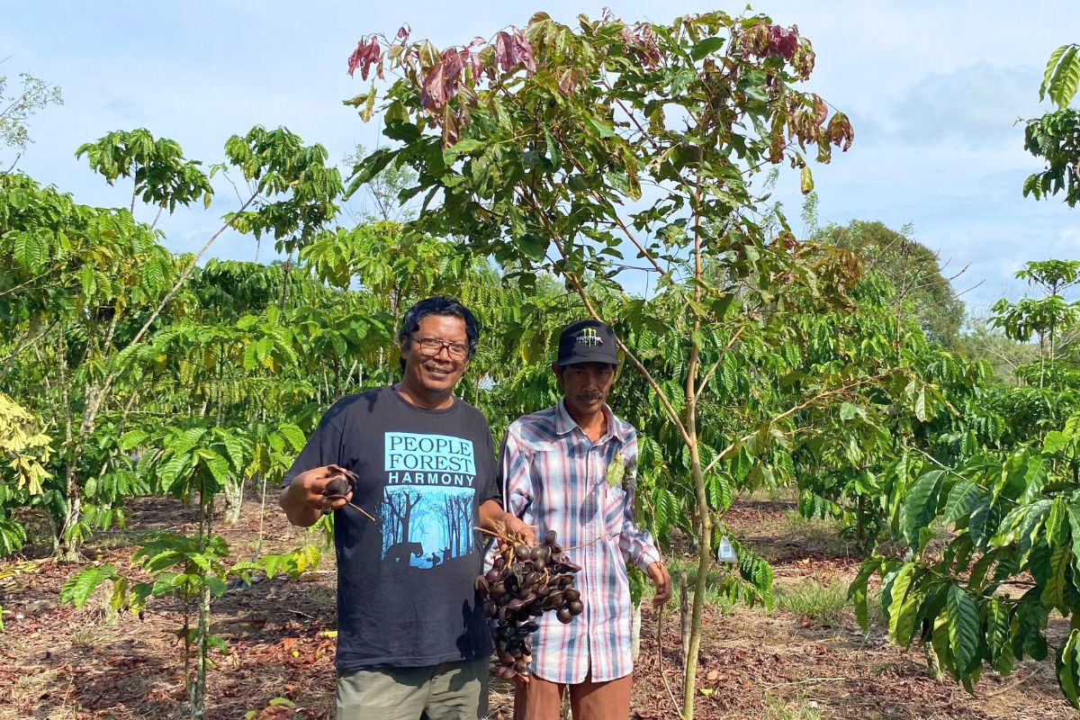Petani Berperan dalam Upaya Mitigasi Iklim