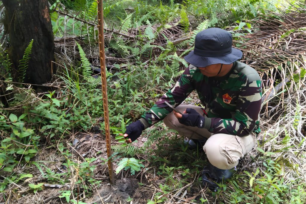 Tim Fasilitator Pundi Sumatra melakukan monitoring pertumbuhan bibit di lokasi kegiatan. Foto: Dokumentasi Pundi Sumatra.